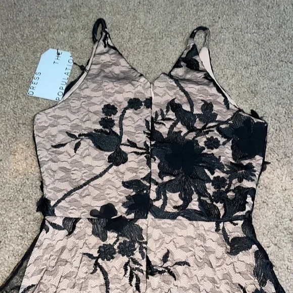 Dress the Population Audrey‎ Sheer Floral Overlay A-Line Sleeveless V-Neck XS